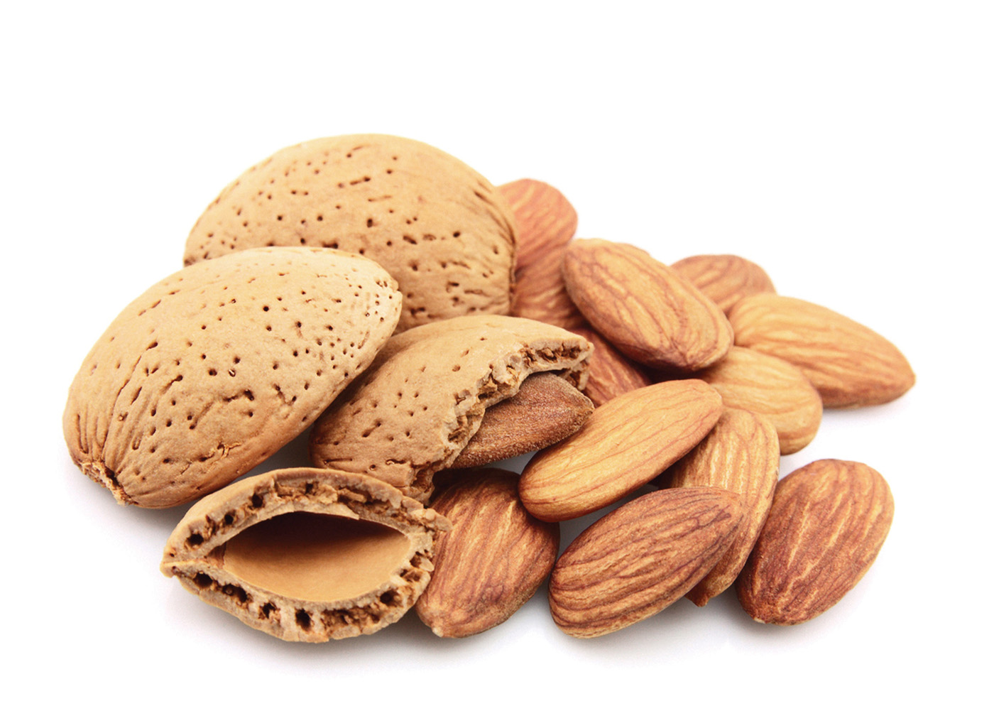 FreeGreatPicture.com-29807-almonds