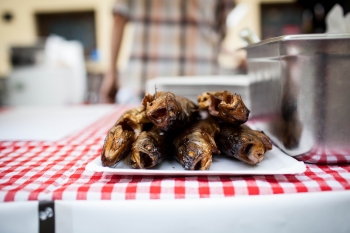 dlhoveki japonci 4 30.05.2013