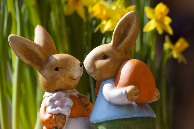 easter-bunny-easter-rabbit-bunny-couple-69816