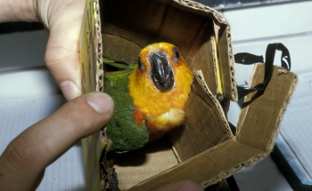 suveniry z dovolenky 23.05.2013